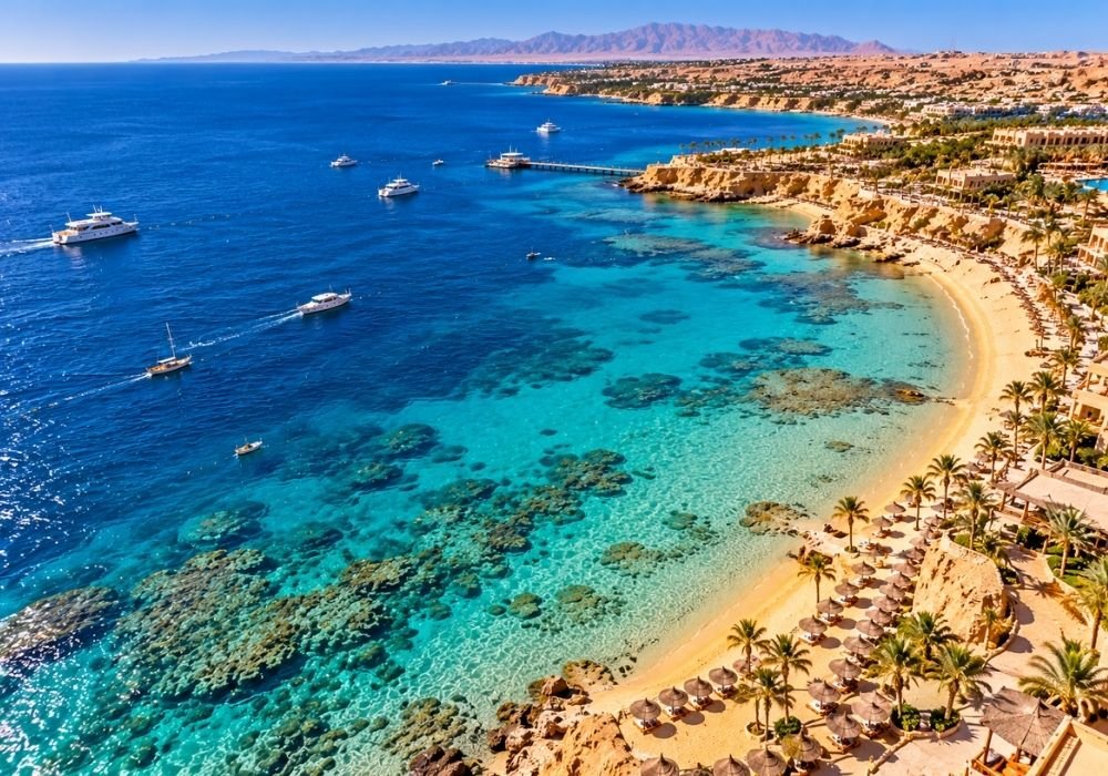 Winter by the Red Sea